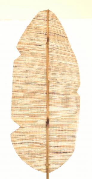 Oar Shaped Decorative Grass