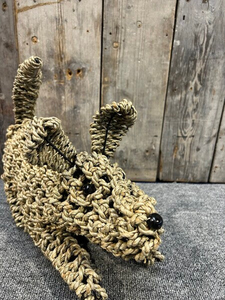 Playing Seagrass Dog