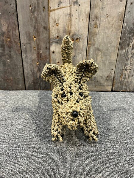 Playing Seagrass Dog