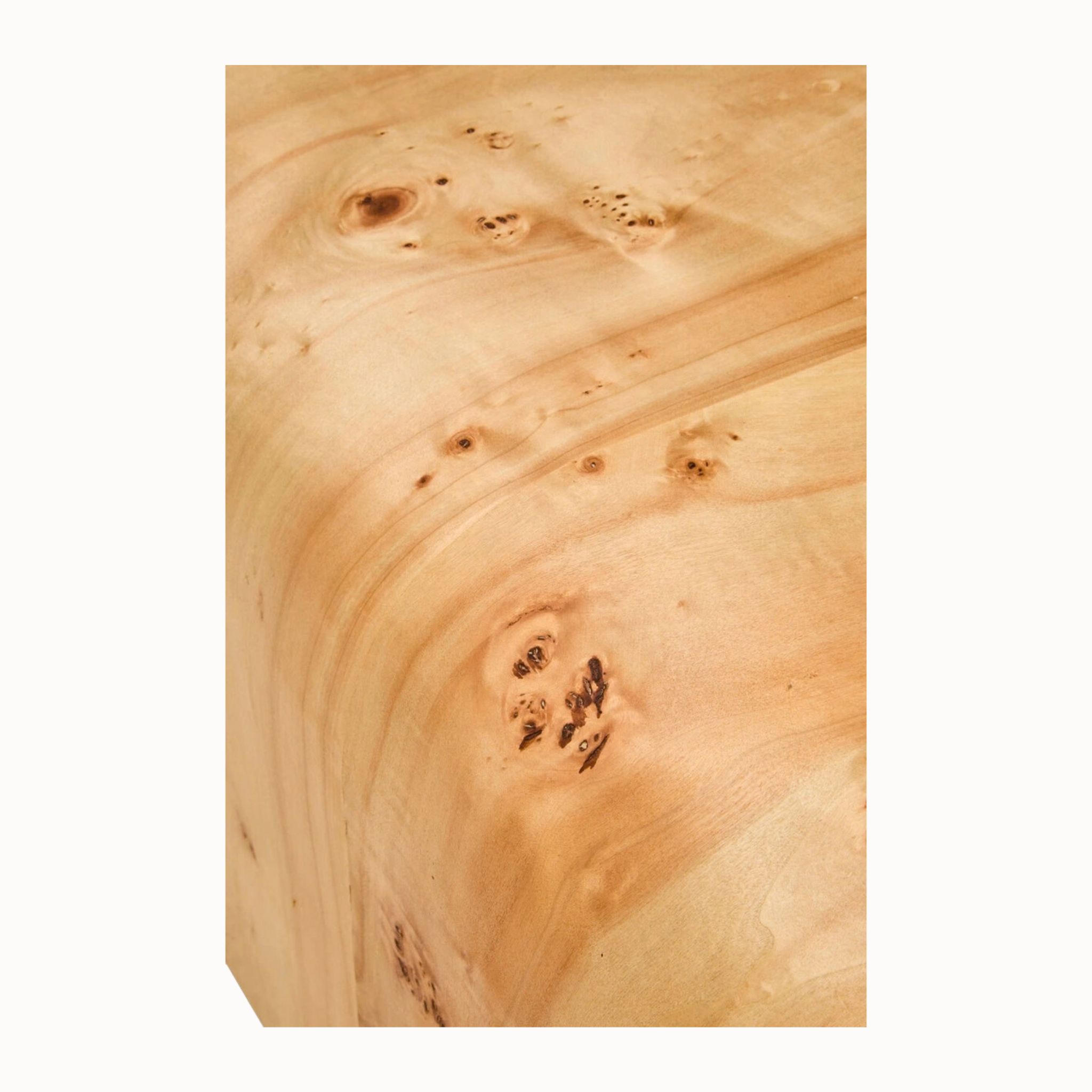 Gaspard 148cm Natural Burl Wood Design Curved Coffee Table