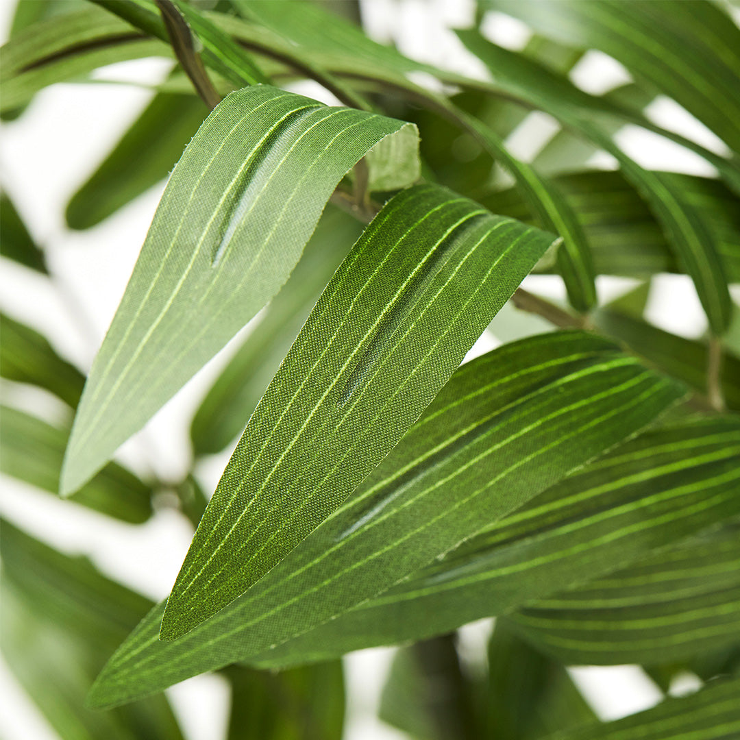 Fernleaf Bamboo (210cm)