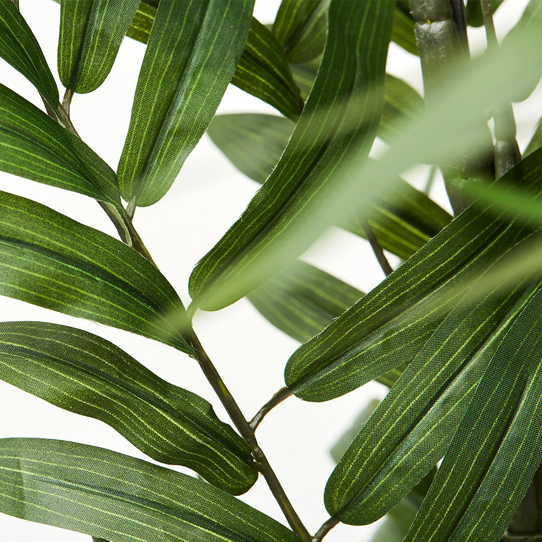 Fernleaf Bamboo (210cm)