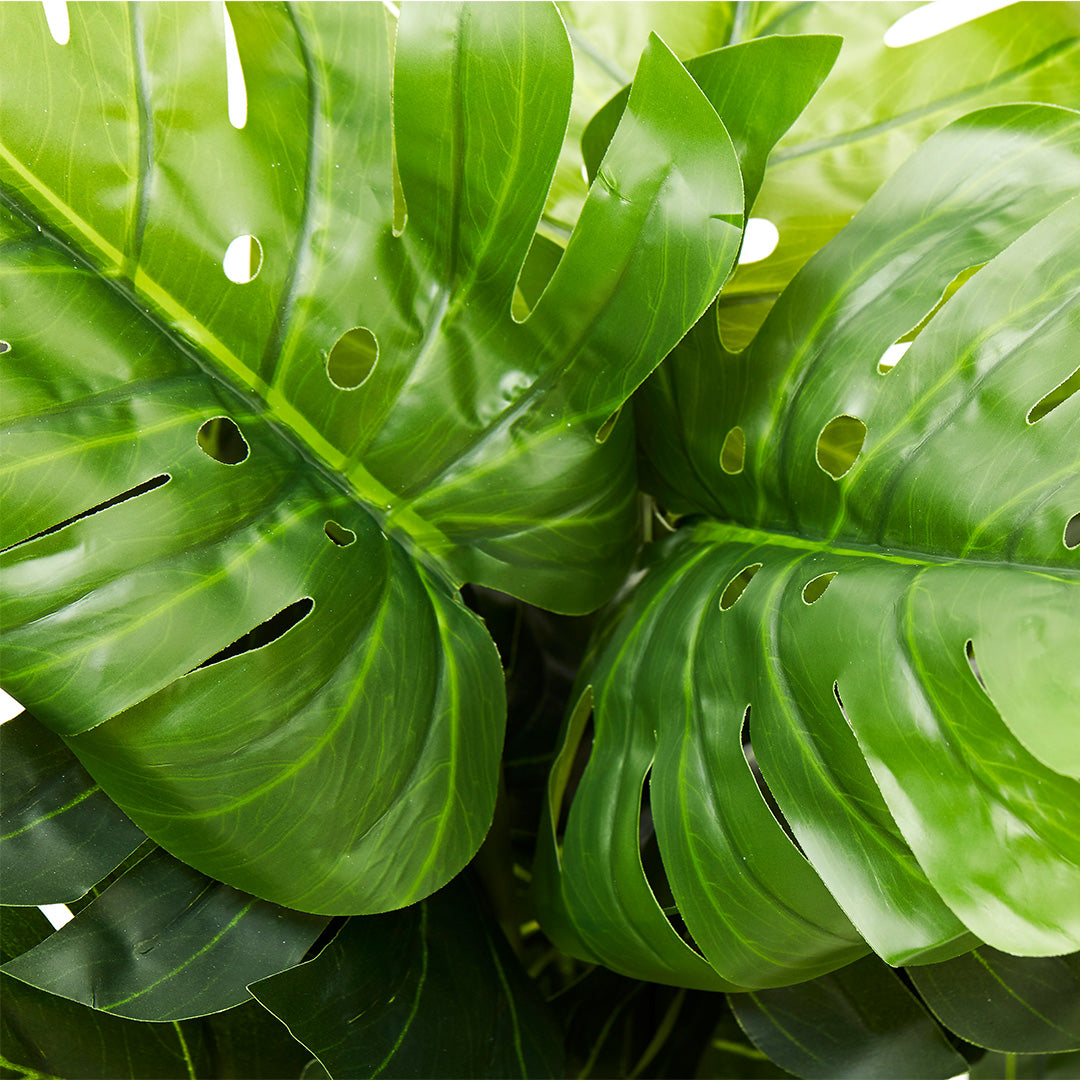 Monstera Tree (86cm)