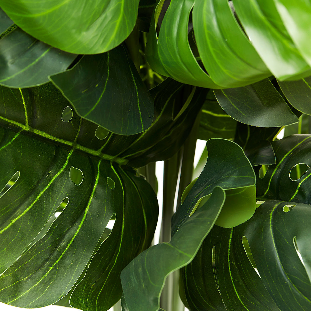 Monstera Tree (86cm)