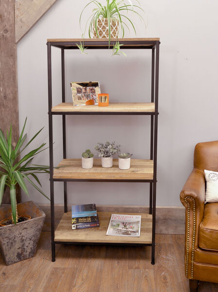 Old Empire Mango Bookcase