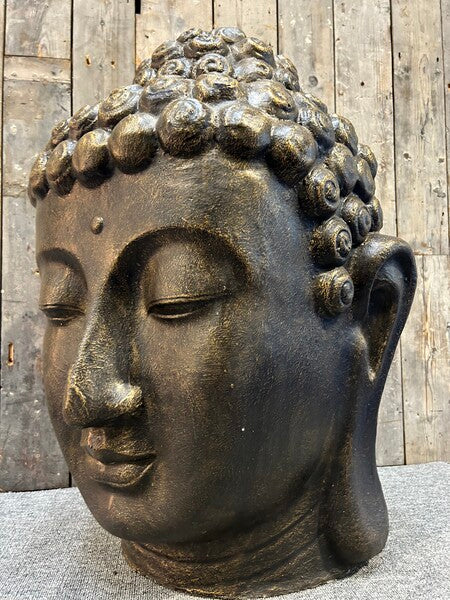 Large Buddha Head