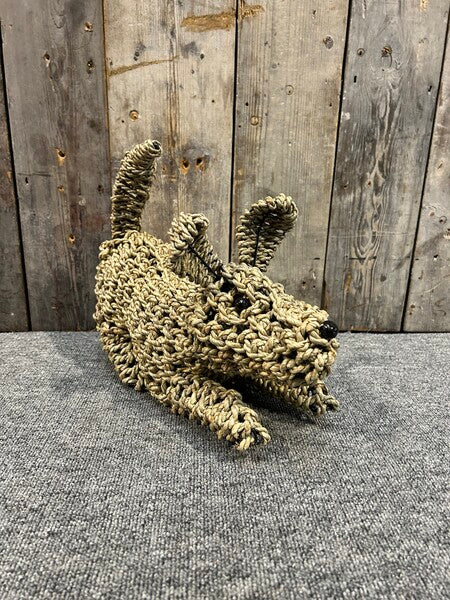 Playing Seagrass Dog