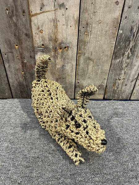 Playing Seagrass Dog