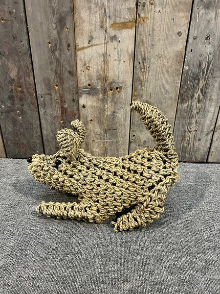 Playing Seagrass Dog