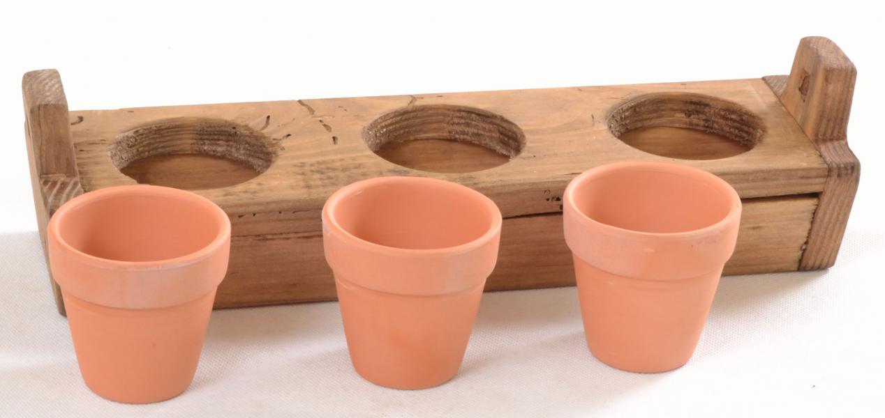 3 Pot Planter In Holder